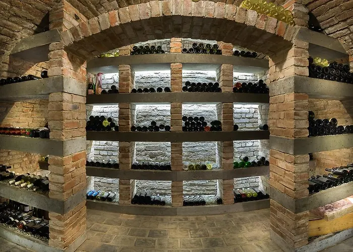 Apartmán Vinařství Václav Hustopeče